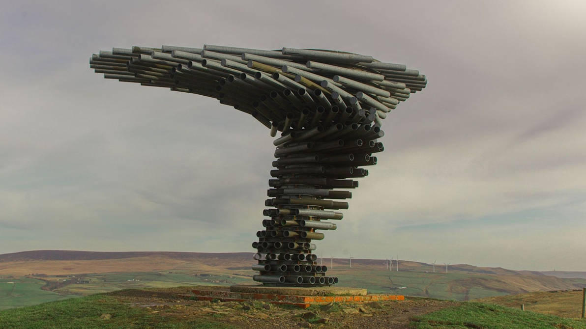 The Famous Singing Ringing Tree - Video by Wattophotos on DeviantArt