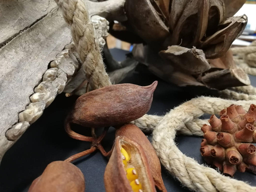 Curios Object Example curious objects by Hazelxx on DeviantArt