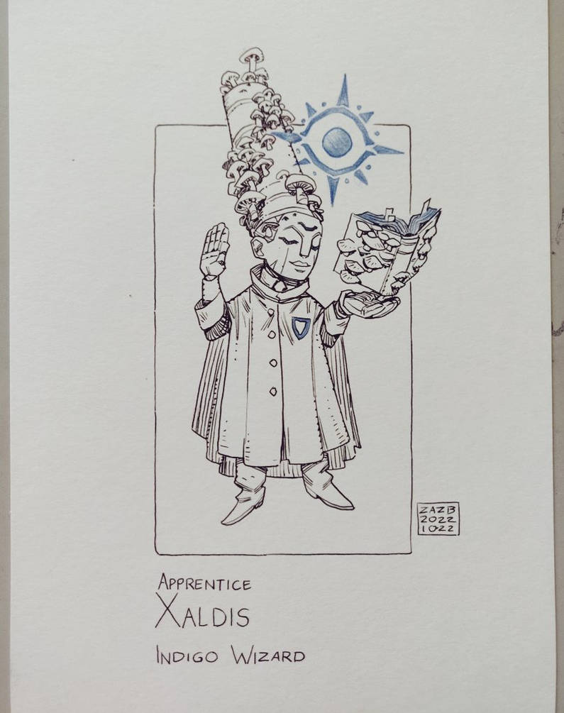 Apprentice Wizard Xaldis by zazB on DeviantArt