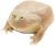 It is Wednesday my dudes (Frog)