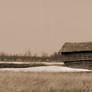 The Shack
