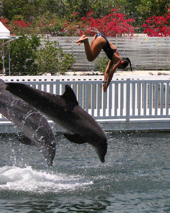 Diving Trio