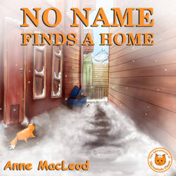 NO NAME FINDS A HOME book cover