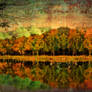 autumn reflection wallpaper