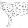 leopard full body drawing