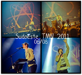 The Script - Sudoeste TMN 2011