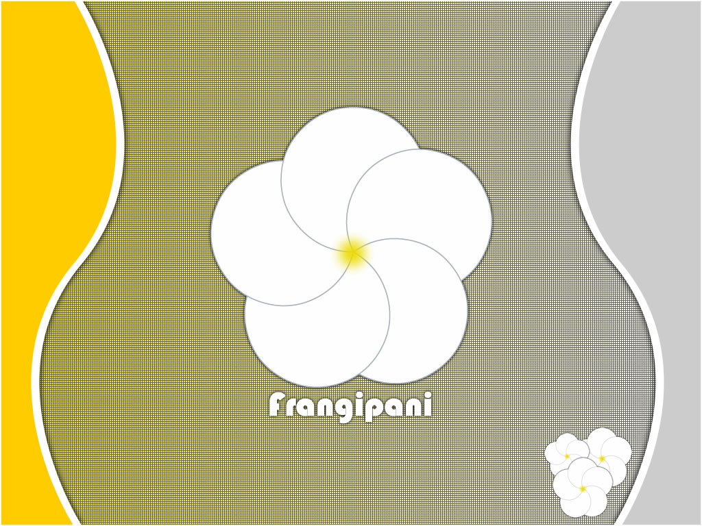 Frangipani