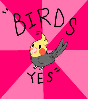 Birds YES