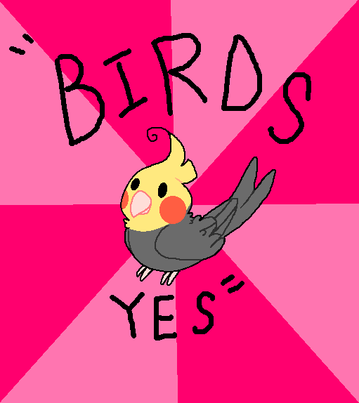 Birds YES