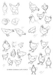 Chicken Sketches