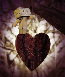 Danbo loves you