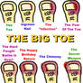 The Life of the Toe