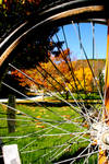 Spokes by aaronisbadnews