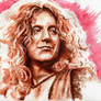 Robert Plant Portrait