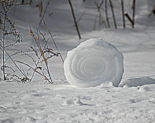 Snow Roller