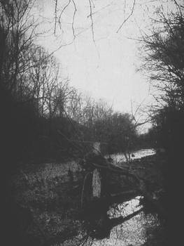 Creek BnW 