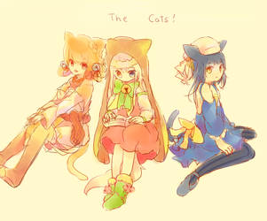 the cats