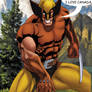 Wolverine_Classic.