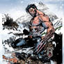 Wolverine_Colorart.