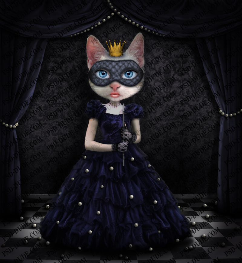 Cat Princess in Photoshop