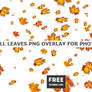 Falling Leaves FREE PNG for Commercial Use