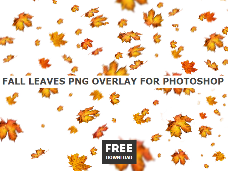 Falling Leaves FREE PNG for Commercial Use