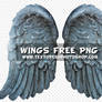 Wings-png