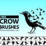 FREE Birds Brushes | PhotoshopSupply