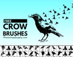 FREE Birds Brushes | PhotoshopSupply by PsdDude