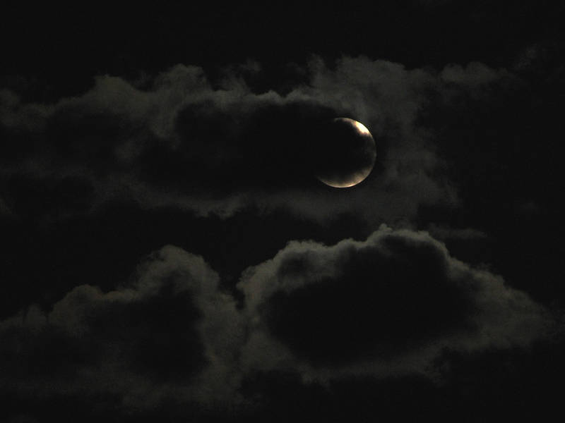 Wolfmoon II by black-amber