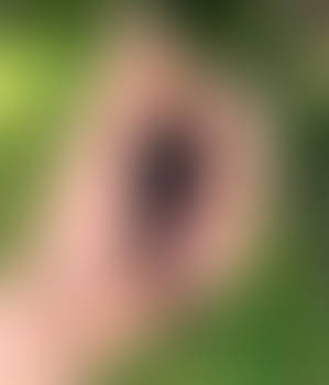 Hogwarts Student Shrunk