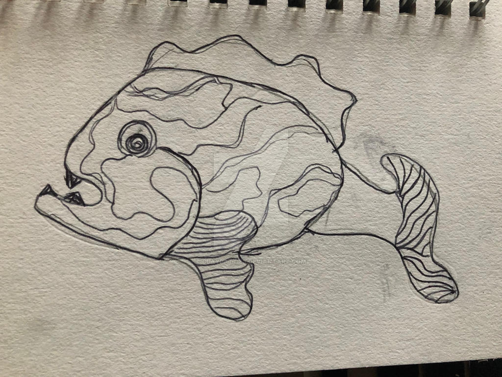 Monster Fish Outline Monster Fish by claypatties on DeviantArt