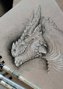 Toned dragon portrait
