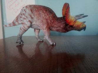 Triceratops