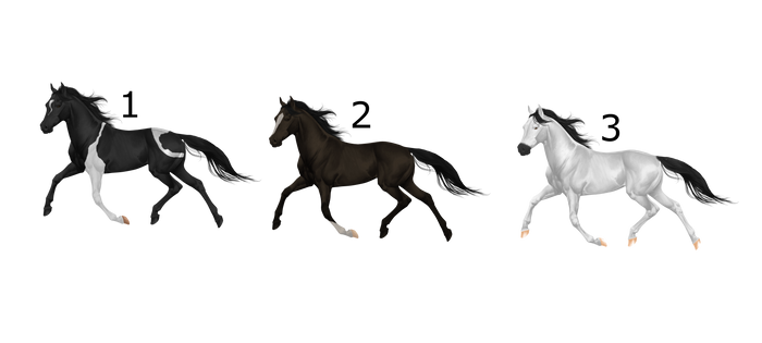 Horse Adopts (Open)