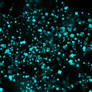Seeing Stars