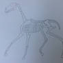 Animation Class - Cartoon Horse Skeleton