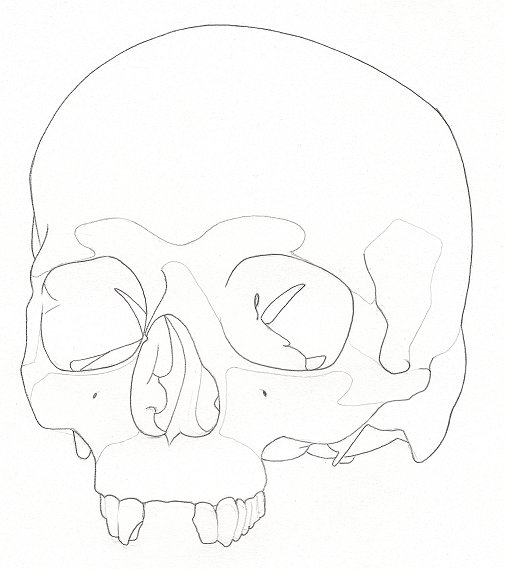 Second Skull