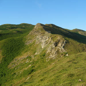 Lovely bute hills