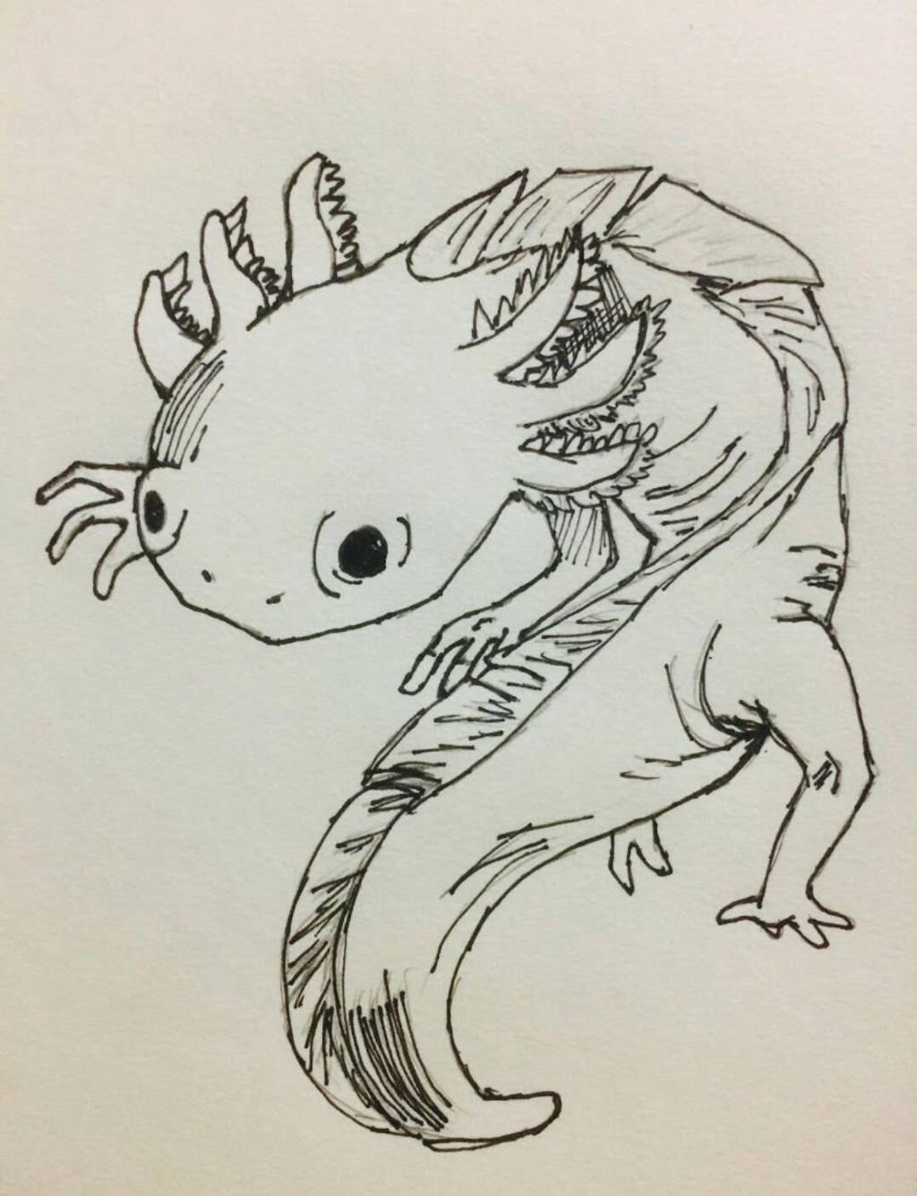Axolotl Concept Art By Mwentindustries On Deviantart