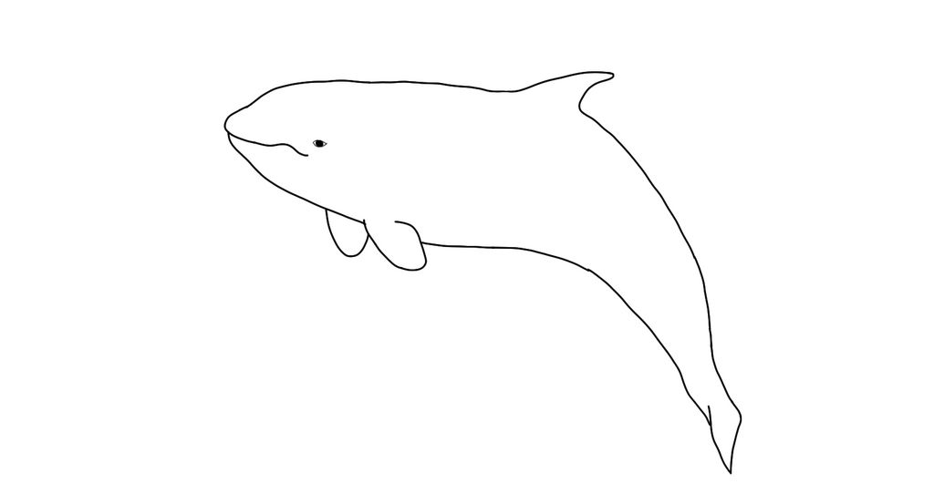 Breaching Orca Lineart 2