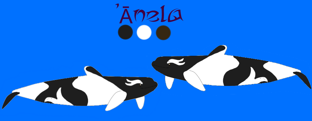 'Anela Ref Sheet