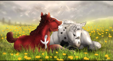 Foal Belladonna and Tyren