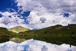 Wild Mountain Heath by JanPusdrowski