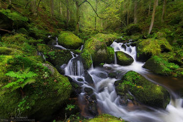 A hunch of Green by JanPusdrowski