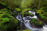 A hunch of Green by JanPusdrowski