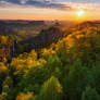 Perennial Light