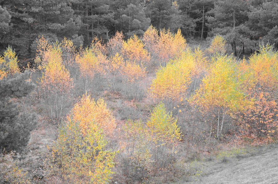 Freaky colours by Millencolin2k4 on DeviantArt