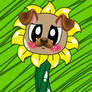 Puppy Sunflower 