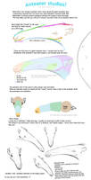 Tutorial How To Draw Anything By 5019 On Deviantart